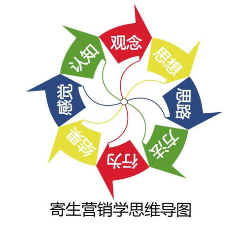 福建教育小程序與打車軟件開(kāi)發(fā) 定制化解決方案與模板應(yīng)用