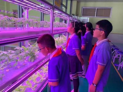 威海這所小學里藏著個植物工廠 當一粒種子，成為一座實踐教育的橋梁